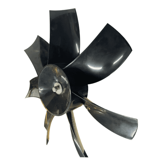 ancha2.png ancha2.png