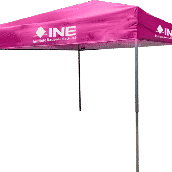 carpa-ine.png carpa-ine.png